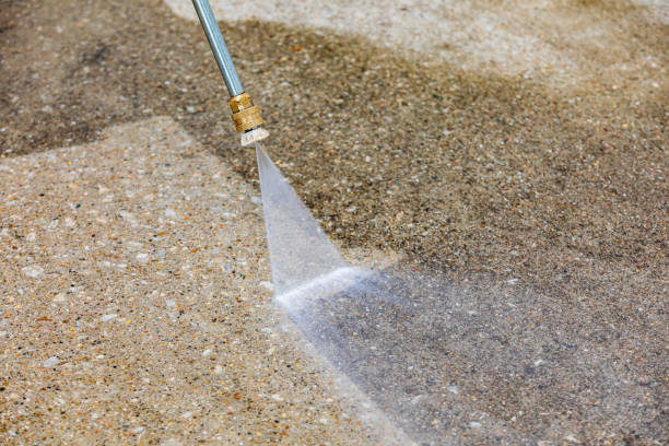 Best Boat and Dock Cleaning  in Harlem Heights, FL