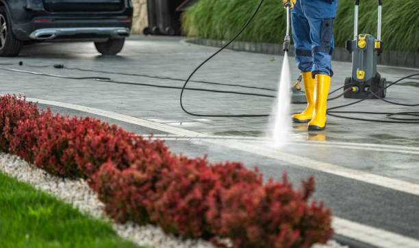 Best Gutter Cleaning  in Harlem Heights, FL